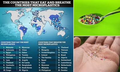 در کدام کشورها ذرات میکروپلاستیک بیشتری وارد بدن مردم می شود؟