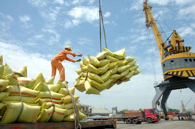 امسال چه میزان برنج به کشور وارد می‌شود؟+جزییات