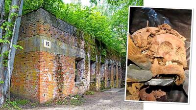 کشف ۵ جسد با دست و پا‌های قطع شده در قرارگاه آدولف هیتلر در لهستان