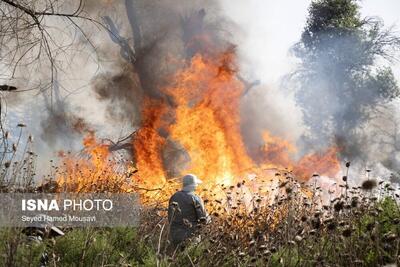 (تصاویر) آتش‌سوزی در جنگل‌های کرخه