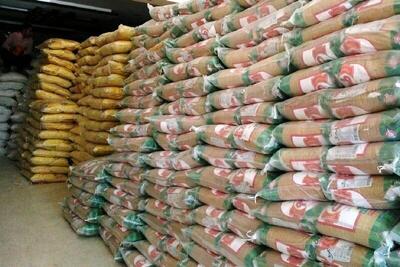 واردات برنج رکورد زد