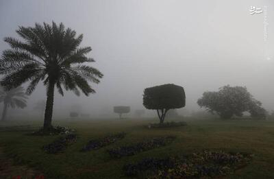 فیلم/ هوای مه‌الود در جزیره کیش