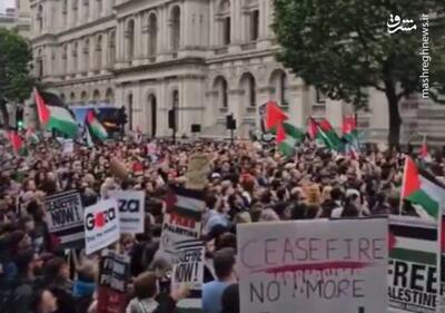 فیلم/ اجتماع حامیان فلسطین در اطراف پارلمان انگلیس
