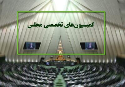 تعیین هیات رئیسه کمیسیون آیین‌نامه/مفتح رئیس شد - تسنیم