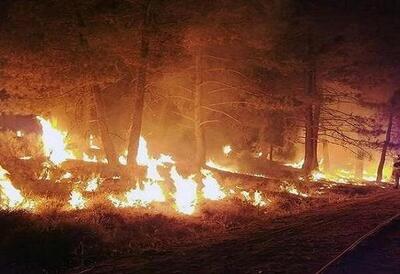 آتش‌سوزی گسترده در جنگل‌های کهگیلویه/ نیاز فوری به تجهیزات