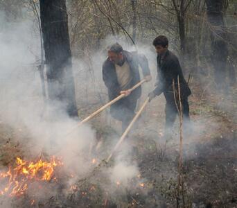 مهار آتش‌سوزی در جنگل‌ها و مراتع شلالدون باشت