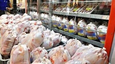 صادرات مرغ و تخم مرغ ایران متوقف شد؟