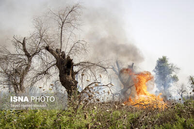 آتش سوزی گسترده در جنگل‌ها و مراتع کهگیلویه