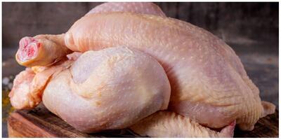قیمت مرغ زنده و مرغ گرم در بازار