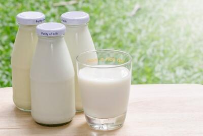 سرانه مصرف شیر در ایران، نصف سرانه جهانی