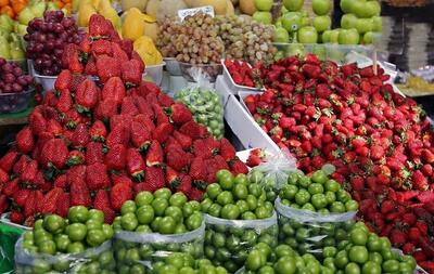 عرضه بالا قیمت میوه های نوبرانه را کاهش داد