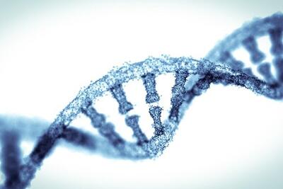 ژن معیوب عامل  اختلالات یادگیری شناسایی شد