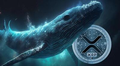 نهنگ‌ها ۱۰۰ میلیون ریپل خریدند! منتظر صعود قیمت XRP به ۱ دلار باشیم؟