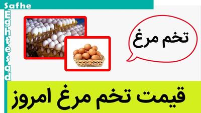 قیمت تخم مرغ امروز شنبه ۱۲ خرداد ۱۴۰۳