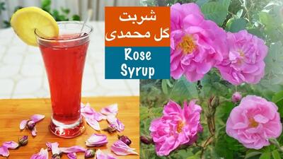 شربت گل محمدی خوش عطر ترین و مفید ترین شربتی که تا حالا خوردید!