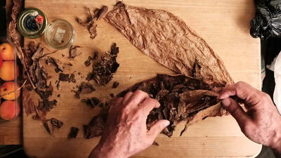 (ویدئو) فرآیند درست کردن سیگار برگ دست ساز سنتی به روش کوبایی ها
