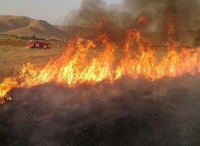 ۱۰۰ هکتار از گندم‌زارهای آق‌قلا در آتش سوخت