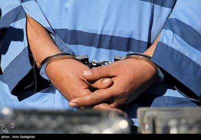 ‌دستگیری باند سارقان غیر بومی منزل در همدان - تسنیم