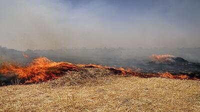 ۱۰۰ هکتار گندمزار در شهرستان آق قلا در آتش سوخت