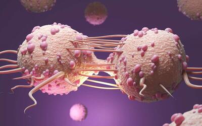 اثر افزایش بیان ریز آر ان‌ای ۹ در مهار تومور زایی سلول‌های بنیادی ملانوما