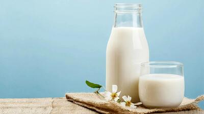 مقایسه میزان پروتئین در شیر کم چرب و پر چرب: کدام نوع برای شما مناسب‌تر است؟