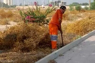روزگار سخت کارگران شهرداری ایرانشهر: جدال با گرما با ۴ ماه حقوق معوقه