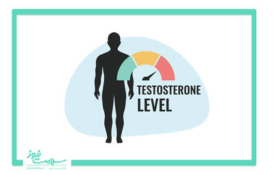 ارتباط میان سطح تستوسترون و ابتلای دیابت