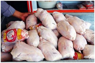 فوری/ سقوط قیمت مرغ زنده امروز در بازار