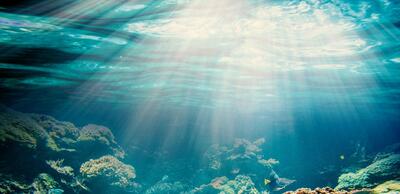 اقیانوس‌ها در تنظیم دی‌اکسید کربن جوی نقش مهمی دارند