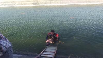 غرق شدن دختر بچه ۱۰ ساله در استخر آب یک گلخانه درمشهد