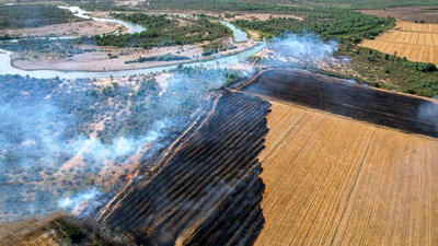 بحرانی‌ترین نقاط آتش سوزی طبیعت ایران کجاست؟