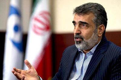 واکنش سخنگوی سازمان انرژی اتمی به قطعنامه شورای حکام علیه ایران
