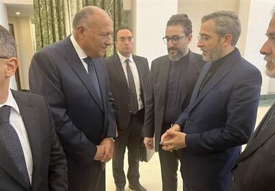 رایزنی «علی باقری» با وزیر خارجه مصر؛ توافق دو طرف درباره تسریع در رایزنی برای حل بحران غزه