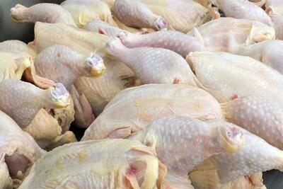 قیمت مرغ در بازار امروز ۱۶ خرداد ۱۴۰۳