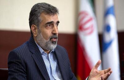 کمالوندی: ایران مقابل فشارهای سیاسی از حقوق مسلم خود کوتاه نمی‌آید