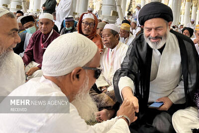 تصاویر: حضور سرپرست حجاج ایرانی در نمازهای جماعت مسجد النبی (ص)