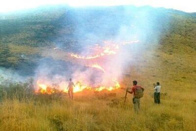 تصاویر آتش‌سوزی در مراتع کوهدشت لرستان + ویدئو | عملیات اطفای حریق پوشش گیاهی را ببینید