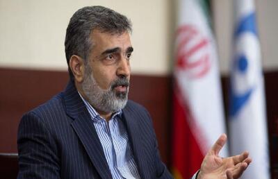 کمالوندی: ایران مقابل فشار‌های سیاسی از حقوق مسلم خود کوتاه نمی‌آید