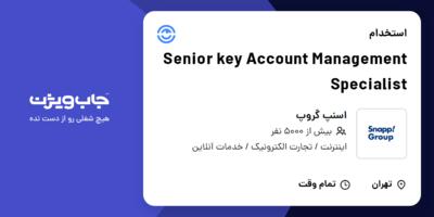 استخدام Senior key Account Management Specialist در اسنپ گروپ