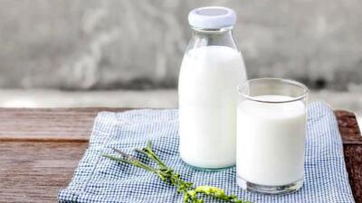 نوشیدن یک لیوان شیر در روز سلامتی را تضمین می کند + 8 فایده مهم