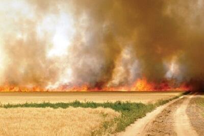 خودداری زارعان از سوزاندن کاه و کلش بعد از برداشت محصولات کشاورزی
