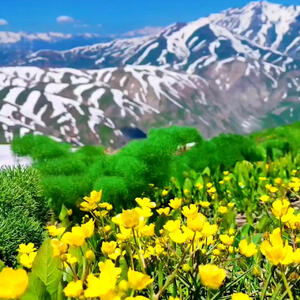 از فرا رسیدن بهار در قندیل تا زیبایی روستاهای ایران
