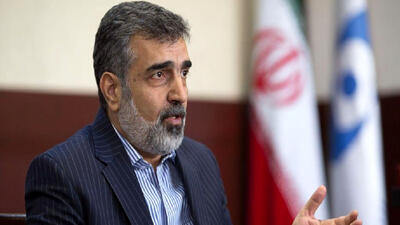 کمالوندی: ایران مقابل فشارهای سیاسی از حقوق مسلم خود کوتاه نمی‌آید
