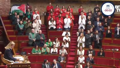 نمایندگان مجلس فرانسه با پرچم فلسطین به پارلمان رفتند + فیلم