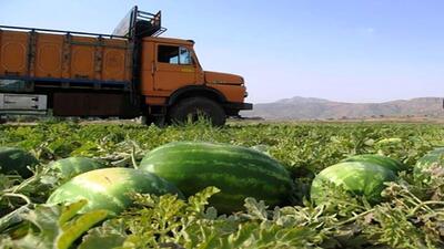 حمل و نقل بیش از ۱۷۲ هزارتن محصول کشاورزی در گلستان