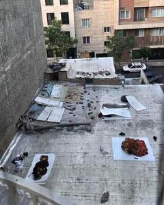 پشت‌بام خانه‌های تهران شکل جدید فقر را نشان داد!