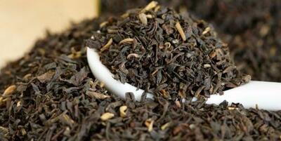 کاهش 3درصدی تولید چای در کشور/ مطالبات چایکاران کی پرداخت می‌شود؟
