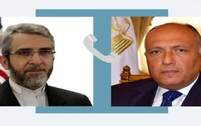 موضوع مهم گفت‌وگوی وزیر خارجه مصر و علی‌باقری + جزئیات