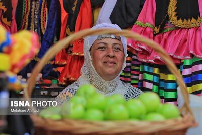 (تصاویر) جشنواره آلوچه در گوراب زرمیخ
