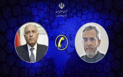 تاکید باقری بر ضرورت استمرار گفتگوی ایران و مصر